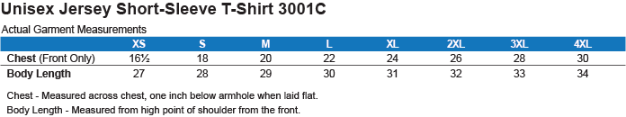 Just Re-Read it (U.S. Constitution) T-Shirt